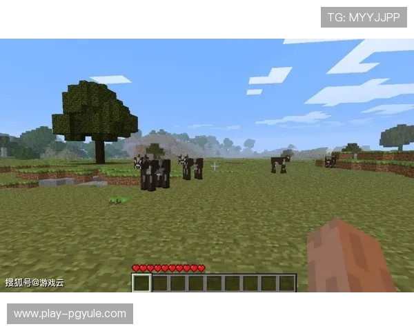 永乐国际ag旗舰厅的安全保障措施揭秘：让玩家放心游戏